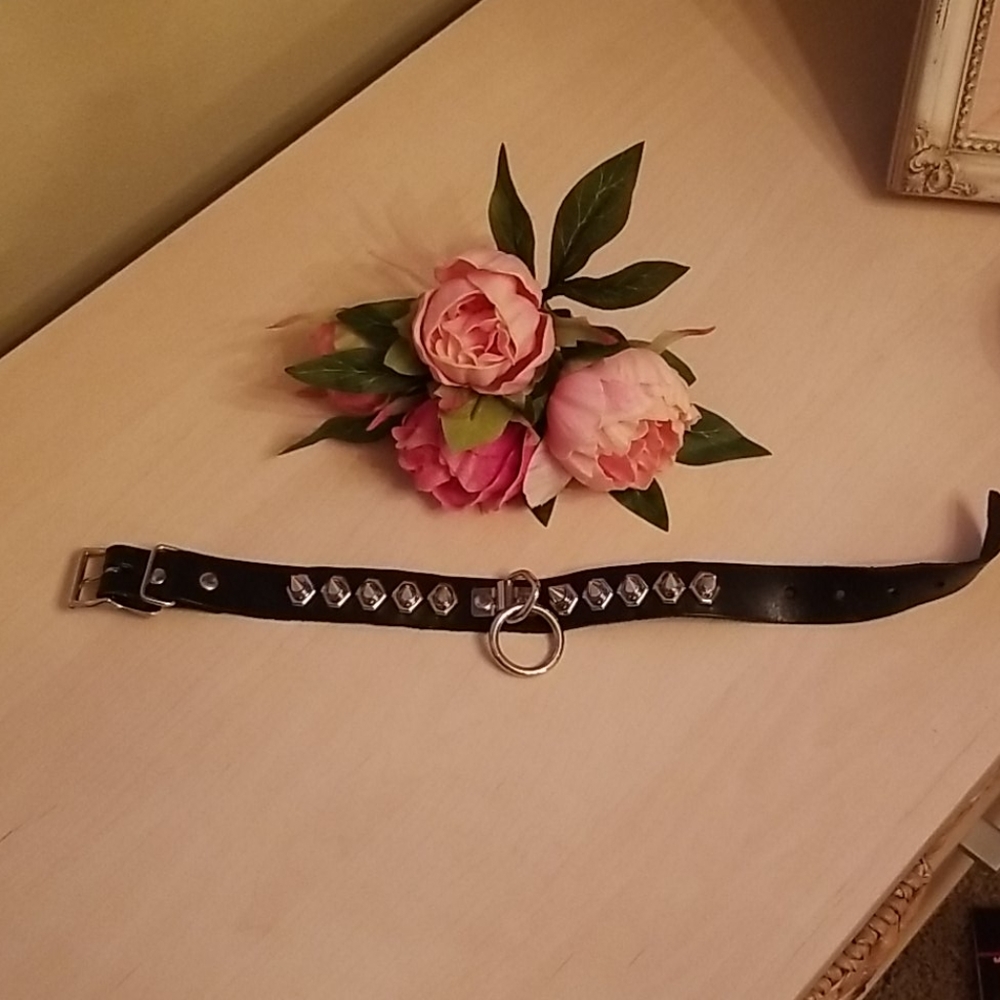 Studded dog collar with pull, 18 inches